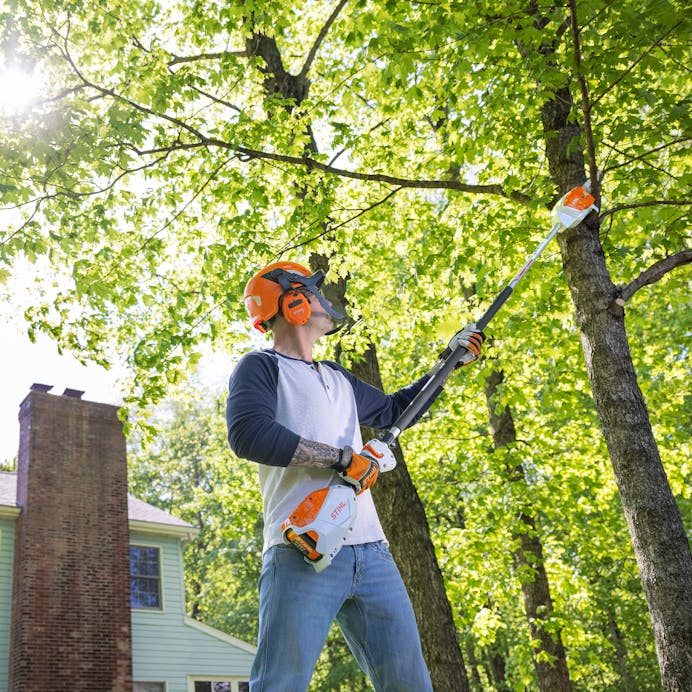 Stihl HTA 66