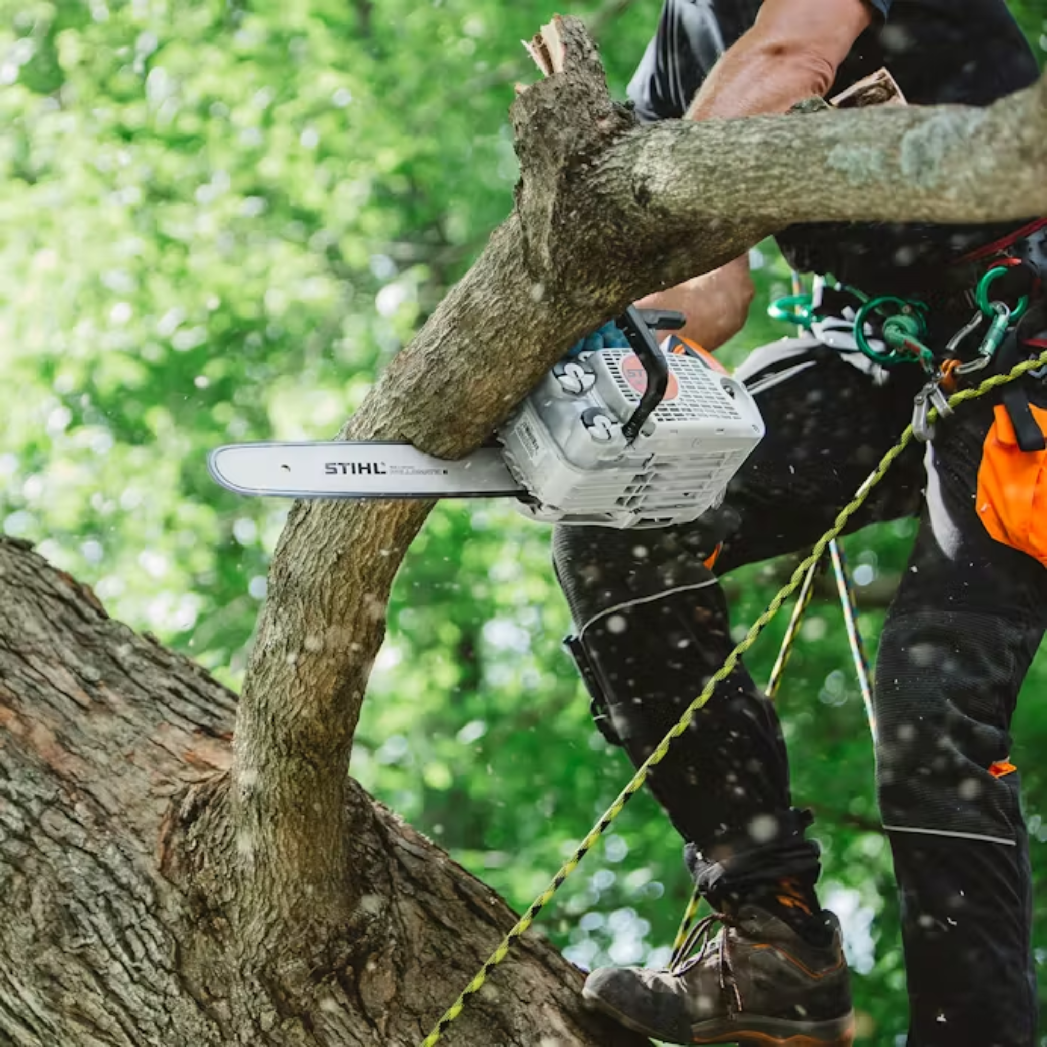 Stihl MS 151 T C-E